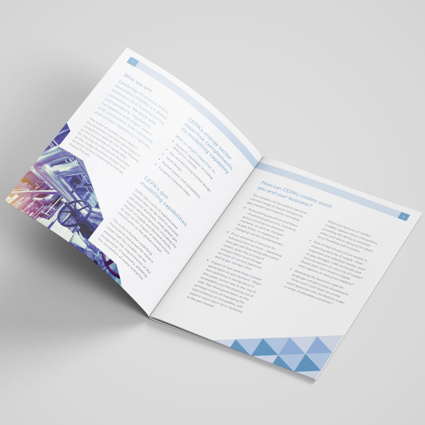 CEPA-A4-Brochure-Mockup