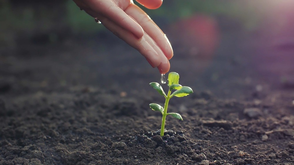 Designing with sustainability in mind